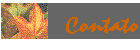 Contato